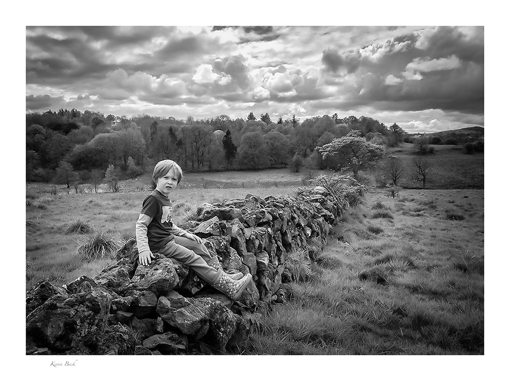 611.   Darnley Country Park (black and white)