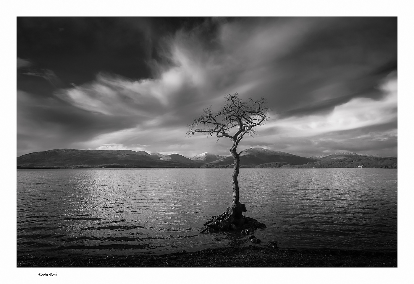 403.  Lone Tree,  Loch Lomond